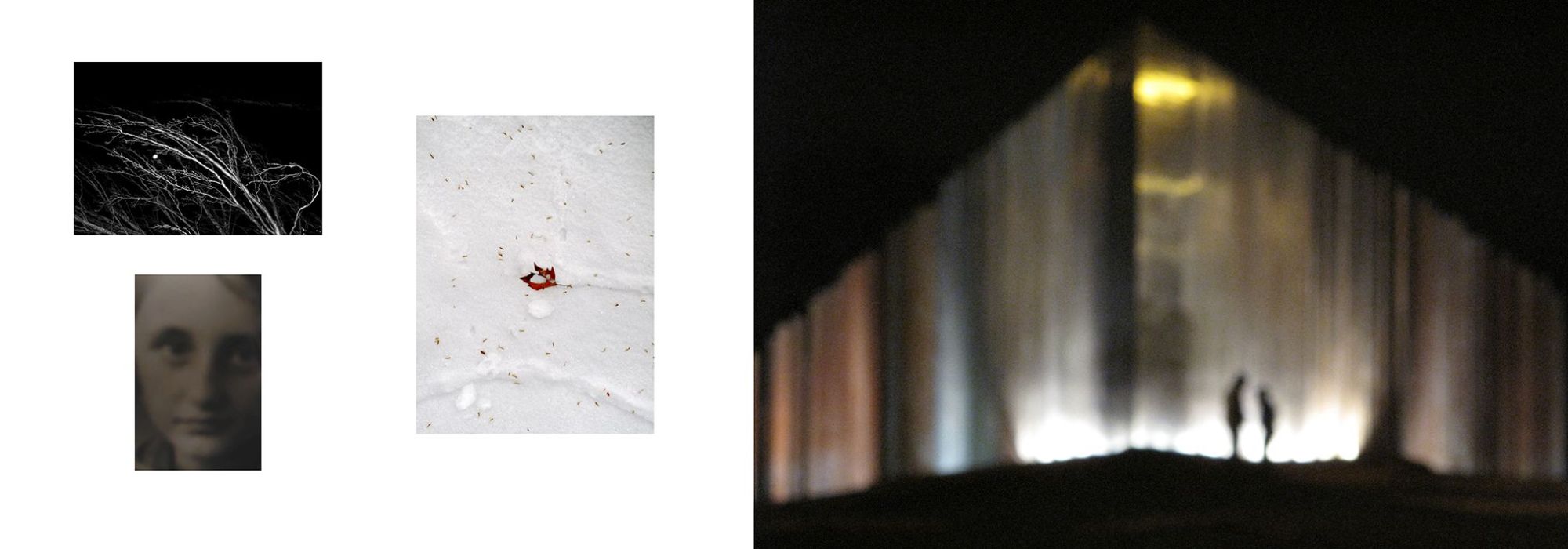 „November” – egy lap a könyvemből 